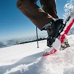 Apartamento Grosse Freiheit Alpe Maritima Ski&see-17 By Interhome Annenheim