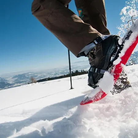 Appartamento Grosse Freiheit Alpe Maritima Ski&see-17 By Interhome Annenheim