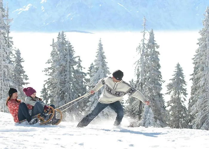 Grosse Freiheit Alpe Maritima Ski&see-17 By Interhome 公寓 *